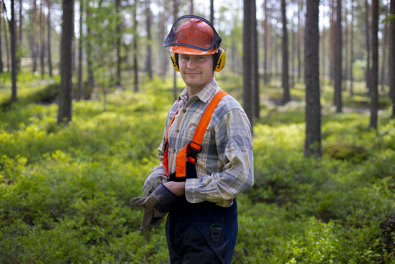 Metsä on Marko Mäki-Hakolalle paitsi työ niin myös rentoutumispaikka. Viime kesänä puuta kaatui kotimetsissä Nurmossa. Arkistokuva.