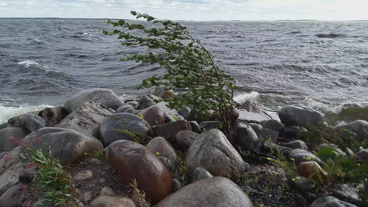 Syksyn merkkejä ilmassa