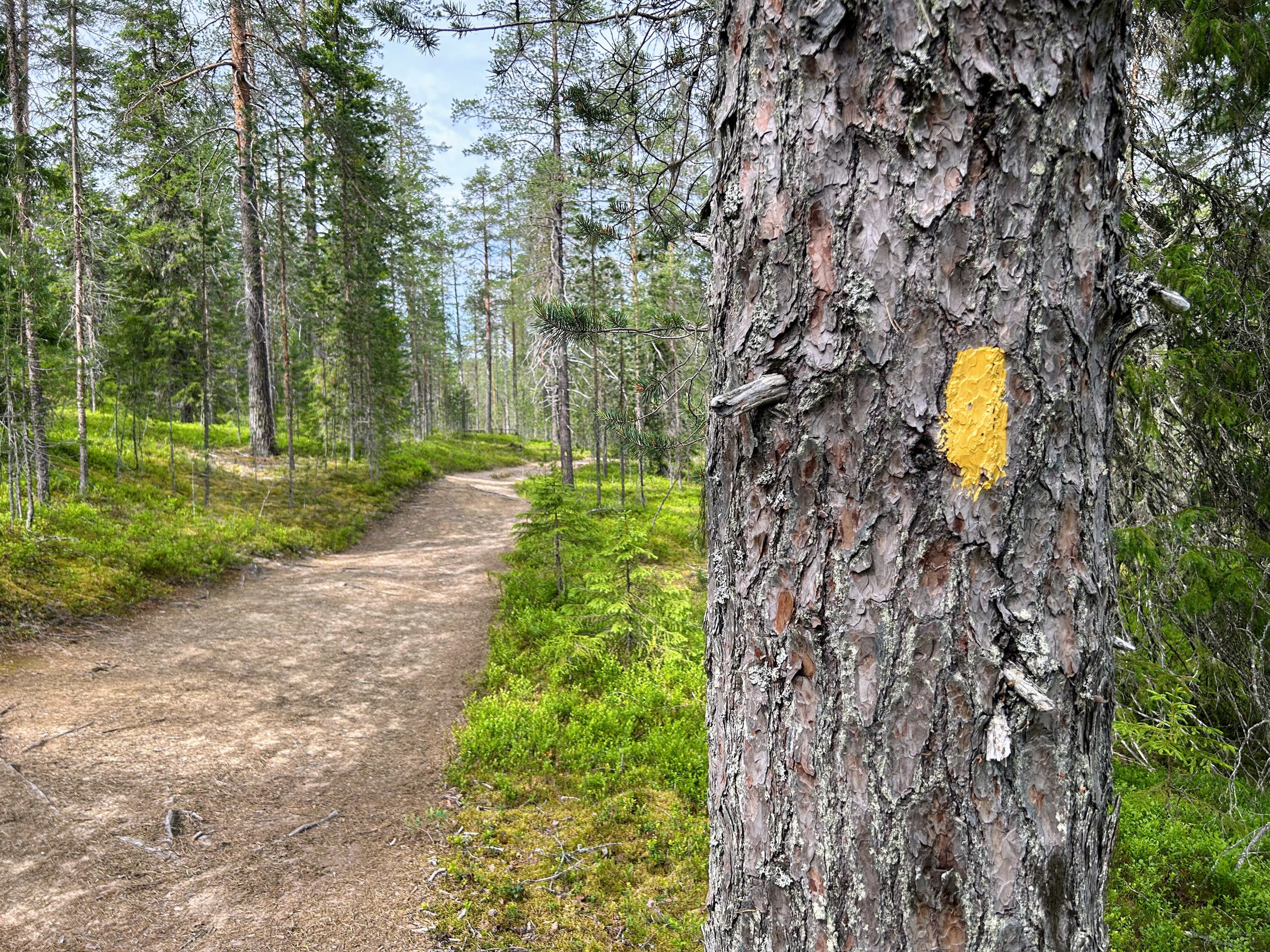 Reitti on merkattu selkeästi keltaisella maalilla.