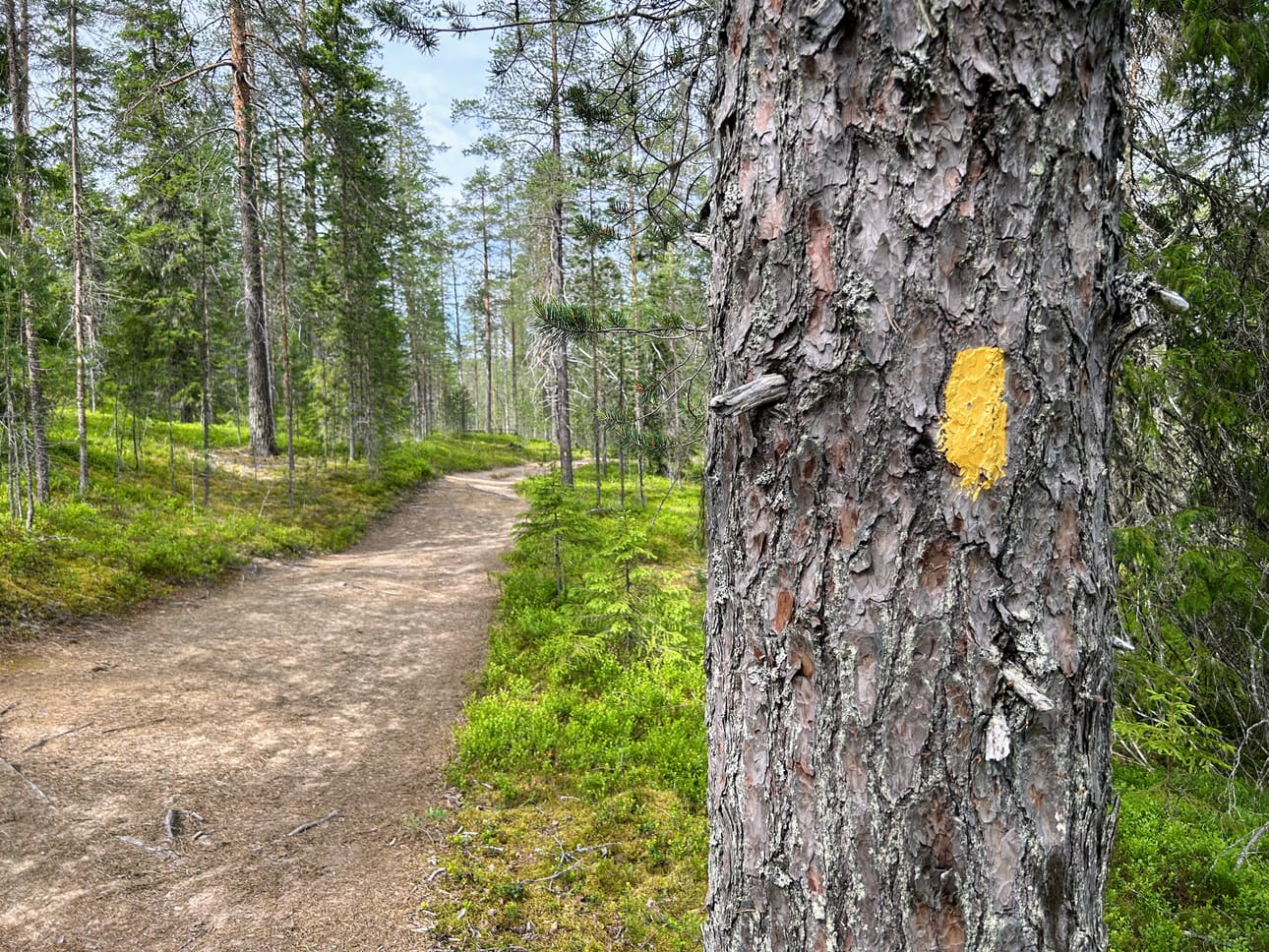 Reitti on merkattu selkeästi keltaisella maalilla.