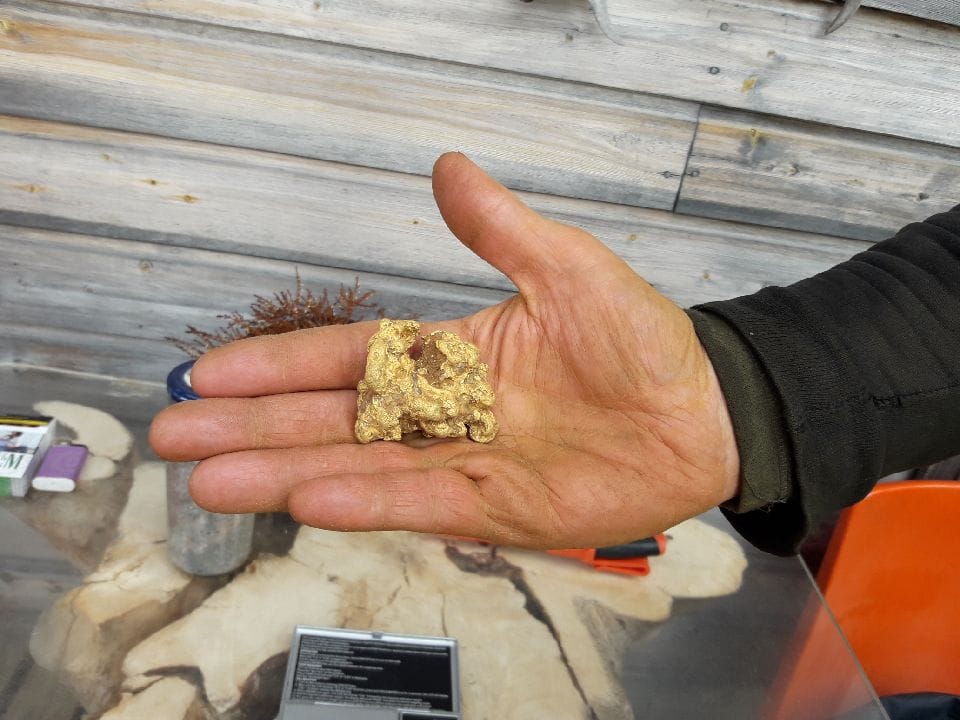 Mika Telilän tiistaina puolenpäivän aikaan kaivama isomushippu on merkittävä kultalöydös koko Lapin kullan historian ajalta. Isomushippu kaivettiin ylös Lemmenjoen Puskuojalta. Hippu ei ollut ensimmäinen iso kultahippu Telilän kaivu-uralla.