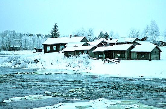 Alavuotolla Kiiminkijoen rannalla seisoo viisi vanhaa savusaunaa vierivieressä. Kaikki ovat aktiivisessa käytössä.