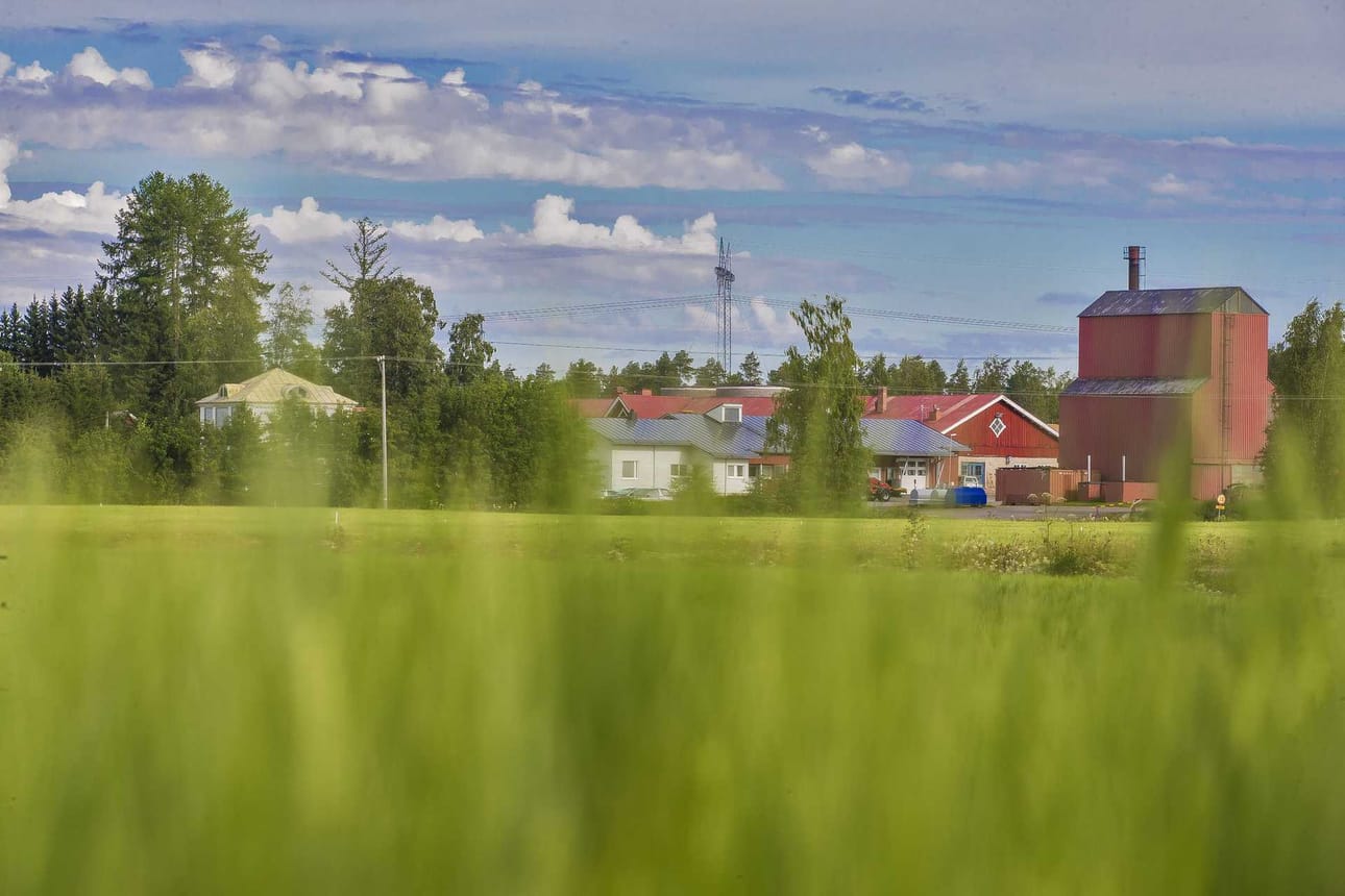 Ruukissa vietetään perinteistä tutkimusasemapäivää keskiviikkona 9. elokuuta klo 10-16.
