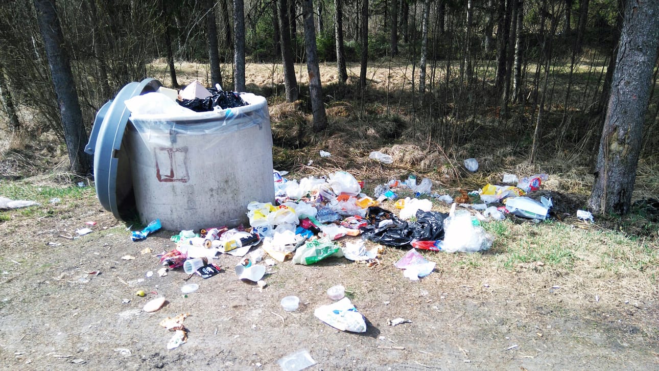 Roskainen levähdyspaikka.