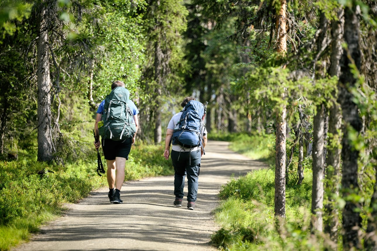Metsähallituksen kävijämäärätietojen perusteella suosituimmat kansallispuistot olivat viime vuonna Pallas-Yllästunturin, Urho Kekkosen ja Nuuksion kansallispuistot. LEHTIKUVA / Aku Häyrynen