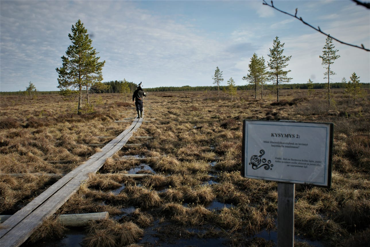 Kilometrinen pitkostus vie Kirsiojantieltä Vitikkosaareen.