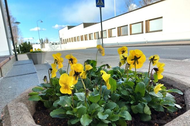Alajärvellä Alvar Aallon tie 2:ssa (kuvassa vasemmalla) sijaitseva Kansaneläkelaitoksen Alajärven palvelupiste on suljettuna kuuden viikon ajan 29.6.-7.8. KUVA: SARI HEINILÄ