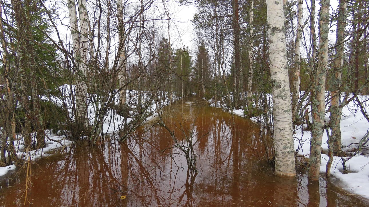 Lukijan kuvassa metsäoja tulvii kuin keväällä, vaikka on helmikuu.