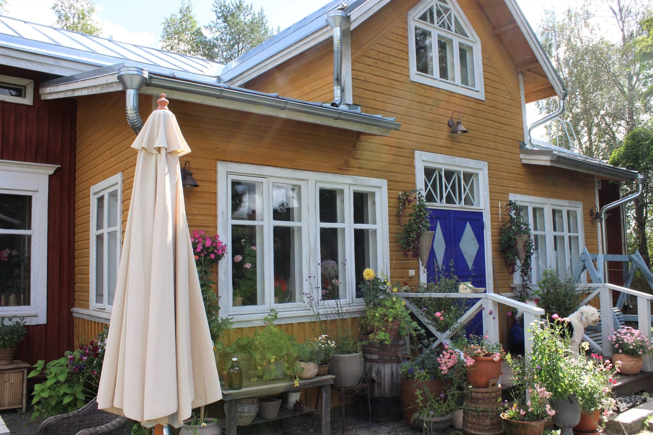 Sisäpihan kukkaloistoa.