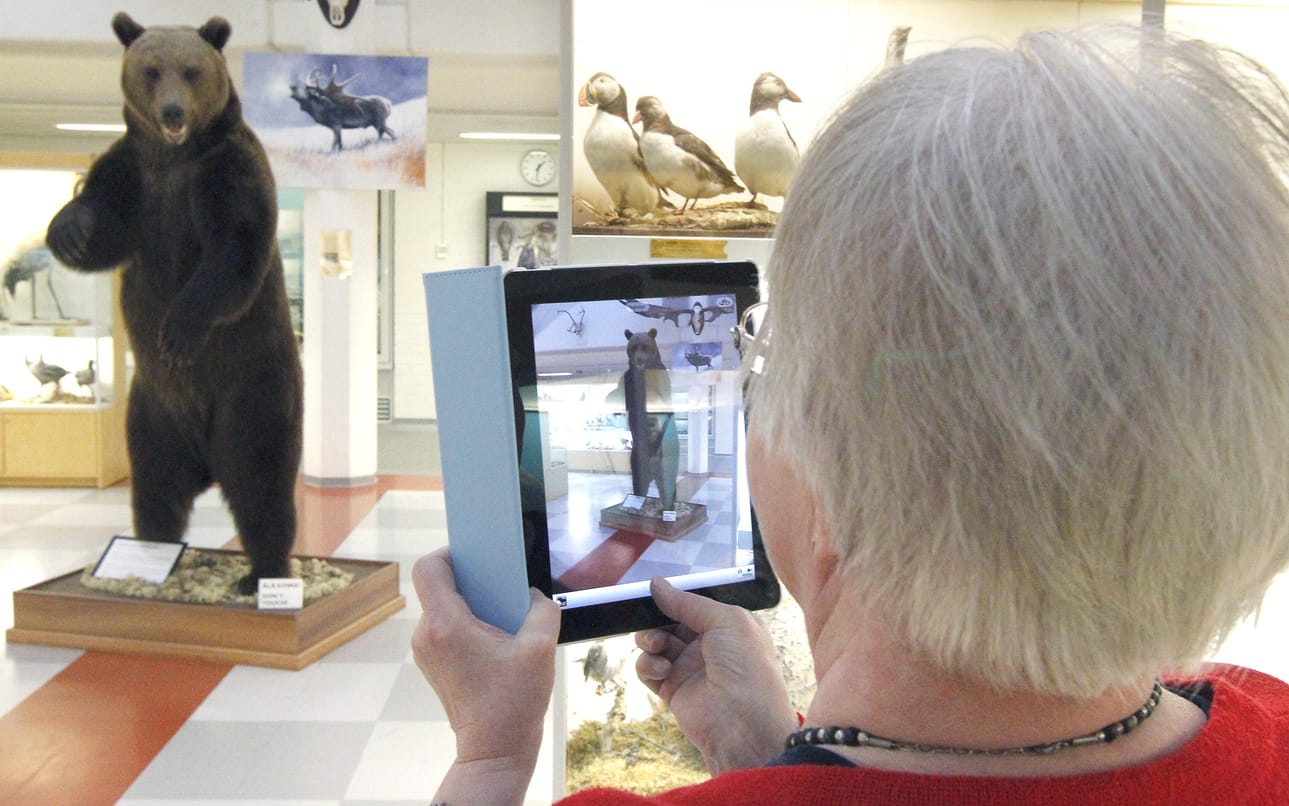 Elsa Apila ottaa kuvaa taulutietokoneella Oulun yliopiston eläinmuseossa.