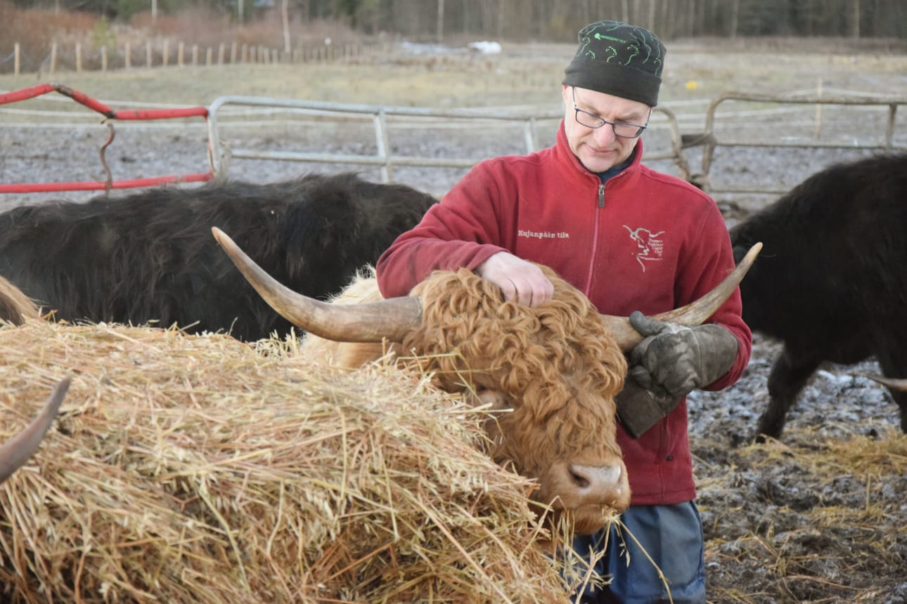 Vesa Koskela lopettaa karjankasvatuksen. Viimeksi tiistaina hänen tilaltaan haettiin karjaa teuraaksi ja vuoden loppuun mennessä hoidettavana ei ole enää ainuttakaan nautaa.