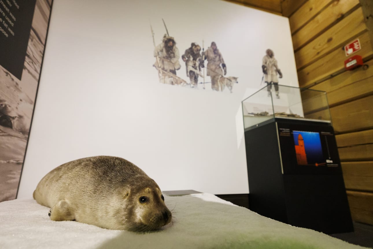 Nykyisen Oulun alue oli Kierikin kivikautisille ulkosaaristoa. Vuonna 1936 löytyi nykyisen Myllyojan paikkeilta hylkeen luuranko, jossa oli vielä kiinni harppuunan terä. Hyvin todennäköisesti kivikauden metsästysseuraan kuului sekä miehiä että naisia.