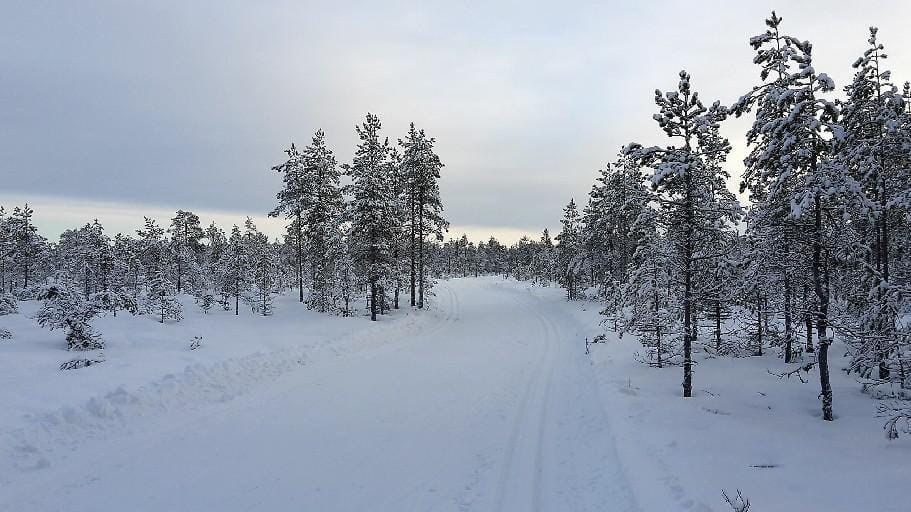 Jarmo Raivio muistelee kouluvuosiensa hiihtokilpailua, jonka palkintojenjaosta tuli verinen pettymys pikkupojalle. Arkistokuva.