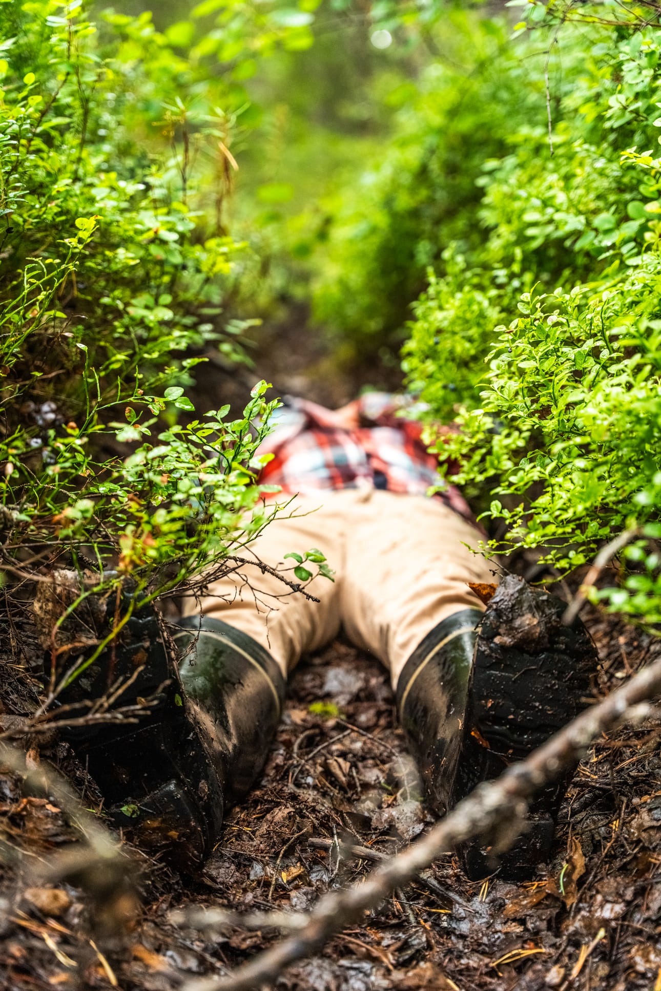 Zoneatlas-sovellus ohjaa kulkijaa suolla, mutta jättää tilaa myös omille havainnoille ja pysähtymiselle.