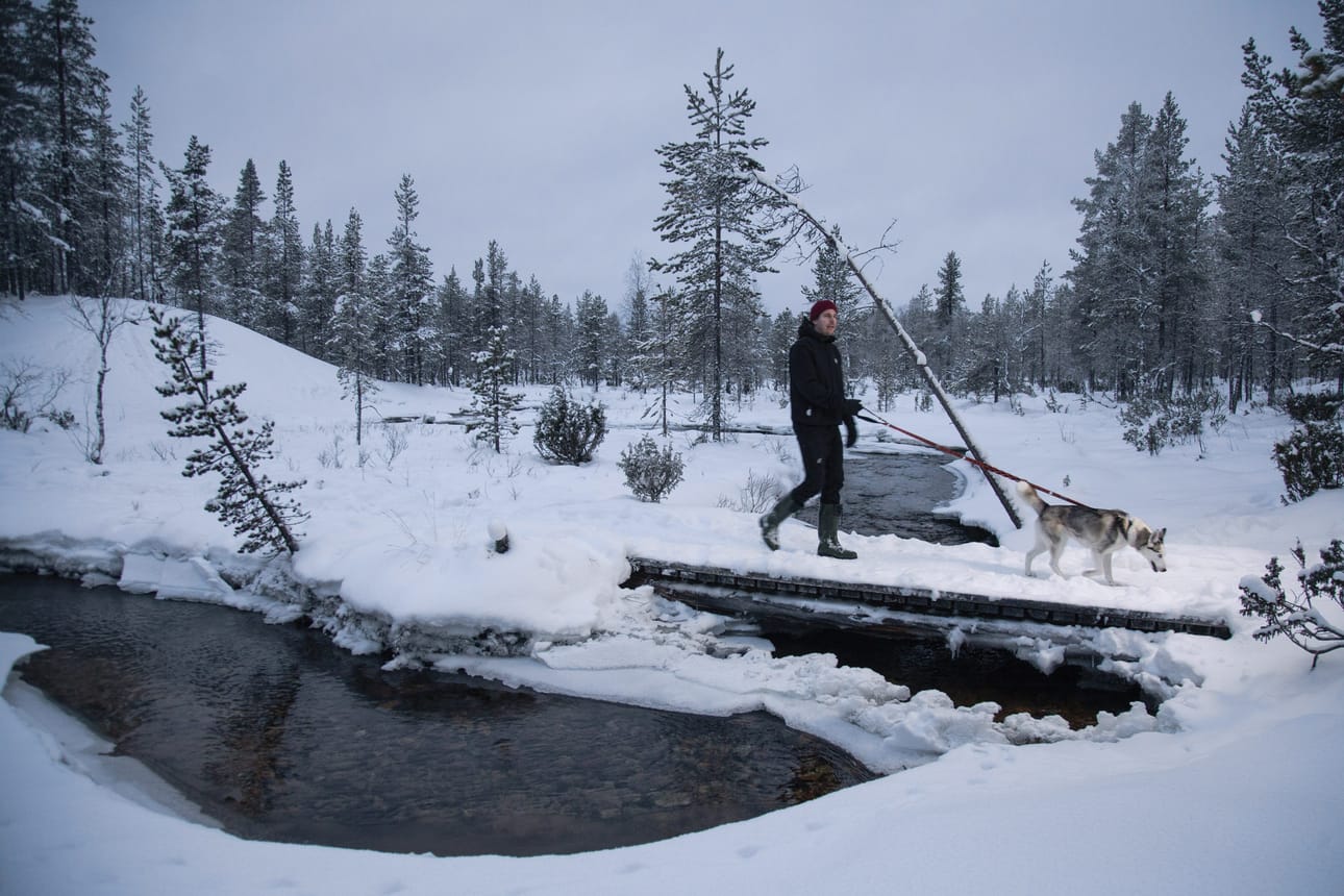 Markus Kauhanen ja koiravaljakkoyritykseltä adoptoitu siperianhusky Halla Sivakkaojalla Sodankylän ja Inarin rajalla 15. joulukuuta 2020.