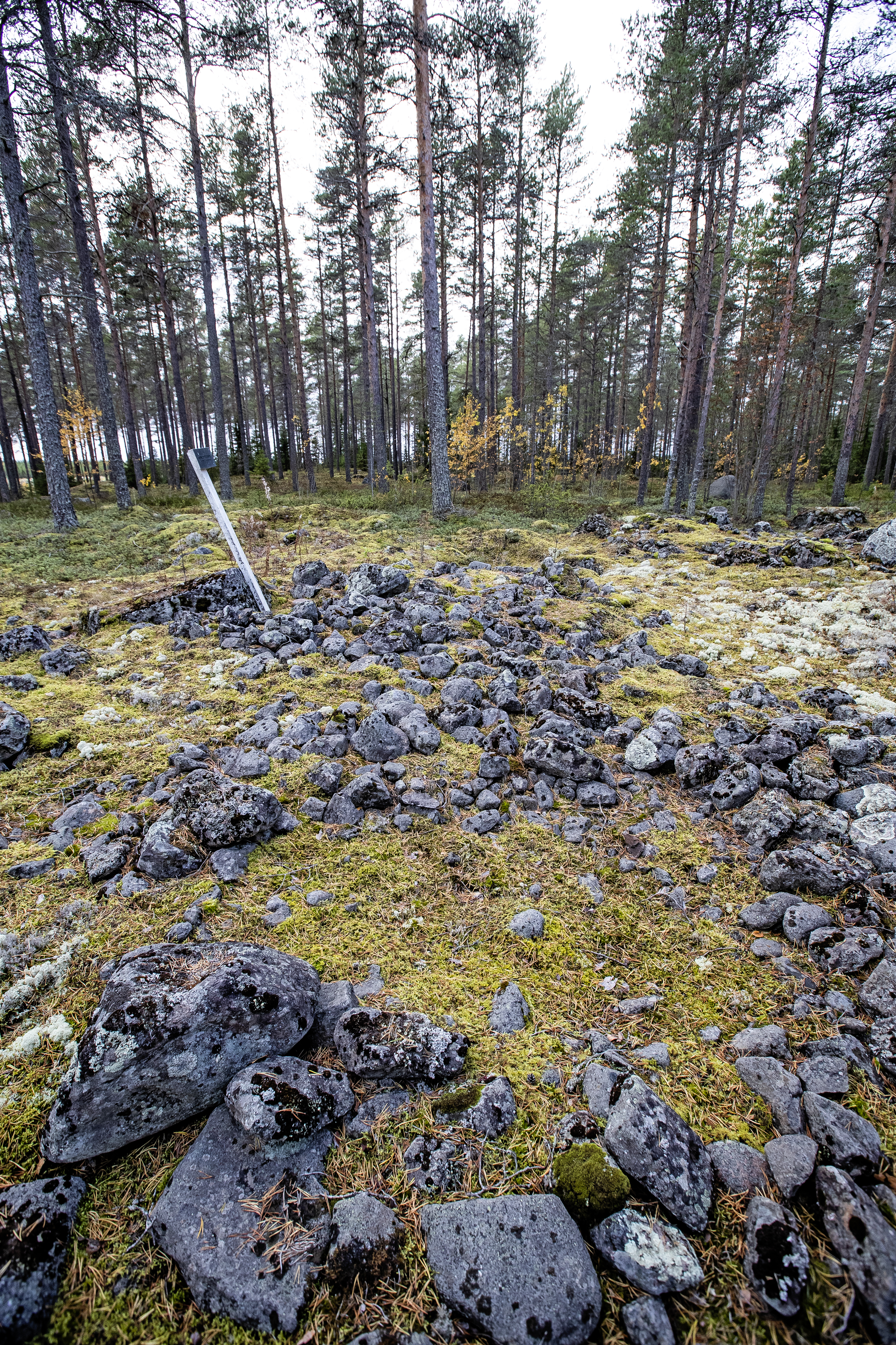 Tervakankaan rautakautinen kalmisto eli hautausmaa, ollut käytössä 100 jälkeen Kristuksen -500 jkr, muutaman sadan vuoden ajan. 