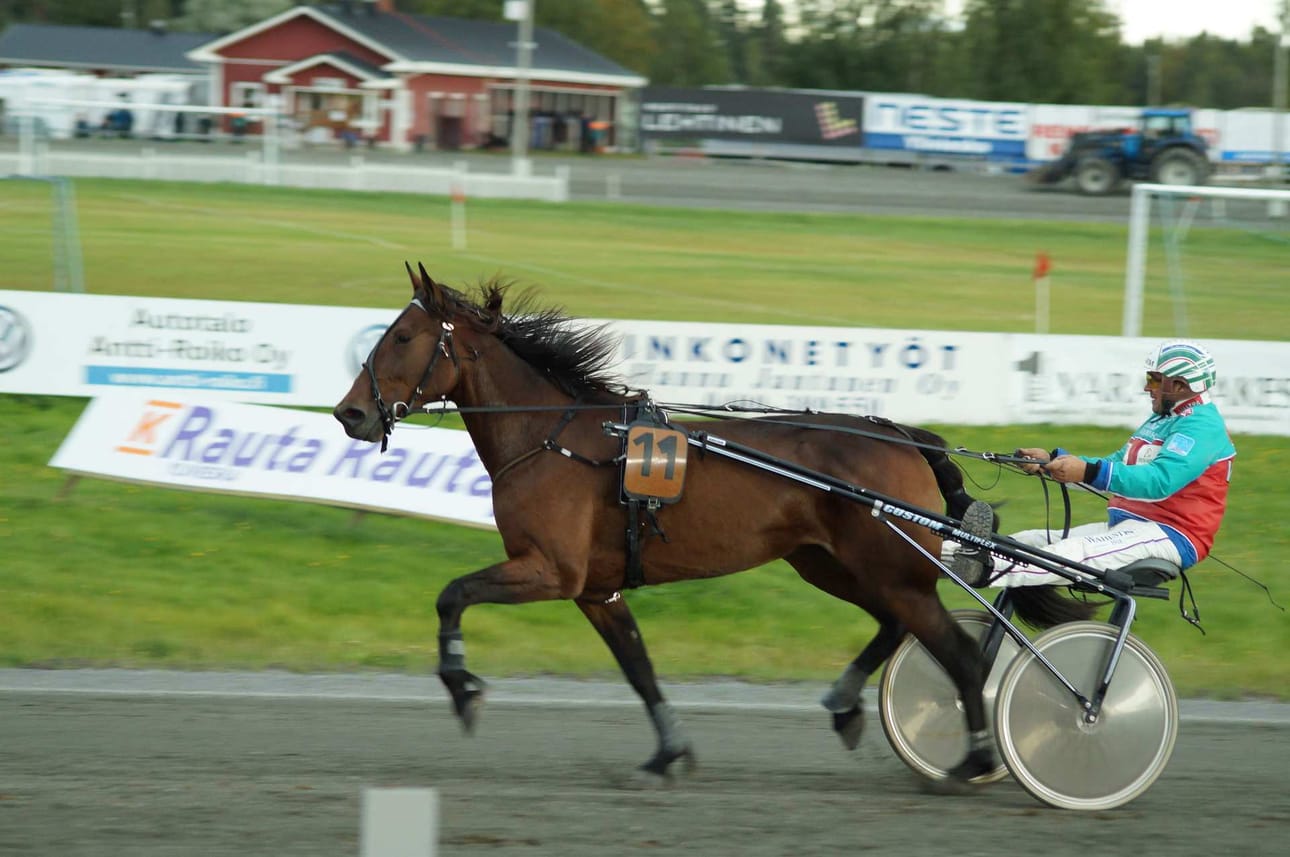 Markku Hietanen on ajanut Disco Diandralla Ylivieskan startit. Pari viimeistä voittoisaa starttia on ohjastanut Iikka Nurmonen.