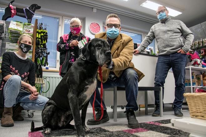 Cane corso -rotuinen kahdeksanvuotias Donna -koira kävi hierottavana. Koiran omistaa Arto Tienaho. Vasemmalla Mirva Hakamaa, Tarja Tapanainen ja Jan Tapanainen (oikealla). Kuvat: Jorma Havula