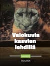 Oulun Toppilansalmeen rakentui puutarha, jossa voi kehittää valokuvan kasvin lehteen – Tutustu Dominik Fleischmannin erikoiseen installaatioon