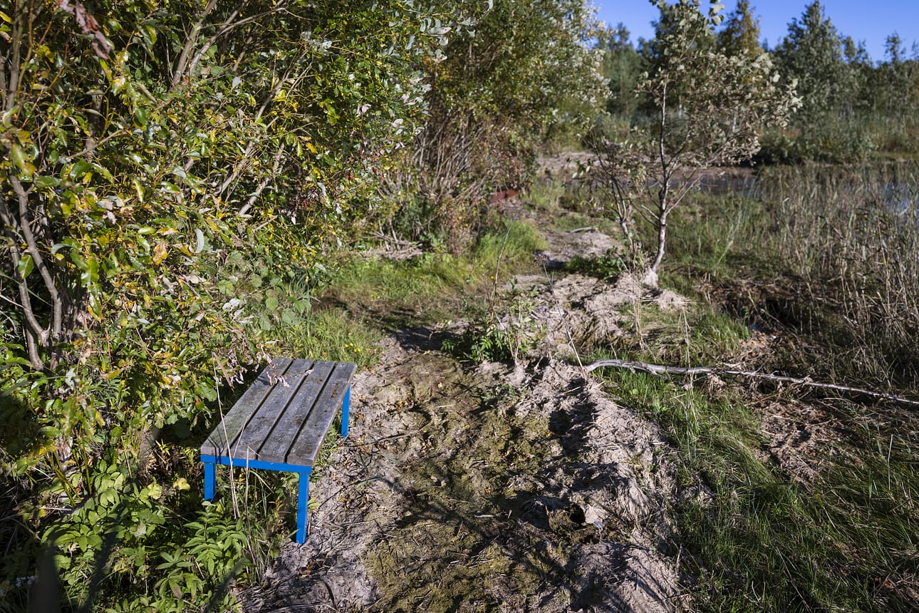 Hietasaaren metsässä oleva penkki.