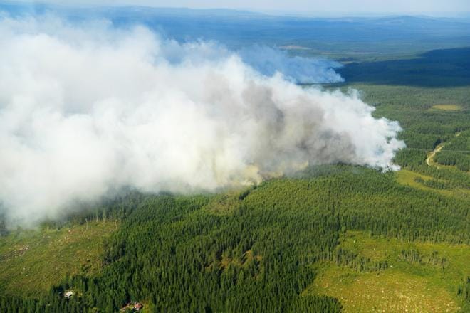 Ruotsissa roihuaa parhaillaan kymmeniä metsäpaloja. KUVA: EPA/Maja Suslin