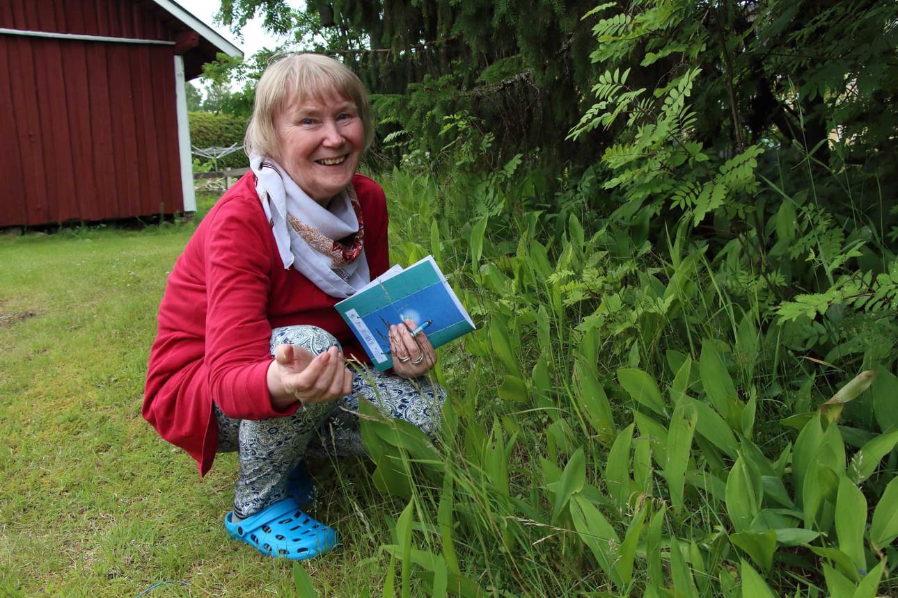 Kirjoittajan kannattaa lukea paljon erilaisia tekstejä, kirjoittajaohjaaja Pirkko Böhm-Sallamo vinkkaa.
