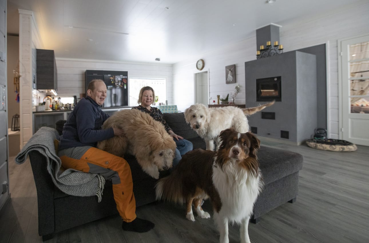 Pertti ja Heidi Severinkangas nauttivat uudesta kodistaan. Niin tekevät Arttu-pojan lisäksi myös Onni (etualalla) ja Hertta, jotka ovat viiden kuukauden ikäisen Ukon (oikealla) vanhemmat. Harmaa sohva vaihtuu pian keltaiseen, mutta Severinkankaat arvelevat, että koiraperhe ottaa sen muiden mukana lempipaikakseen.