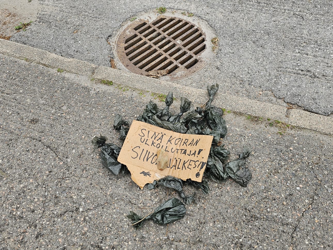 Huutoniemellä asukas kertoo löytäneensä talonsa pensasta trimmatessaan ison läjän käytettyjä koirankakkapusseja. Nyt ne on siirretty kadulle.