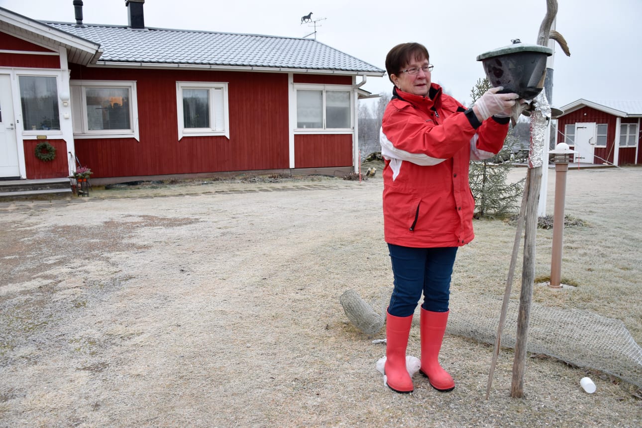 Yksin asuvalle Irmeli Granlundille iloa arkeen tuovat pihalla pikkulintujen seuraaminen ja lintujen ruokinta-automaattien täyttäminen.