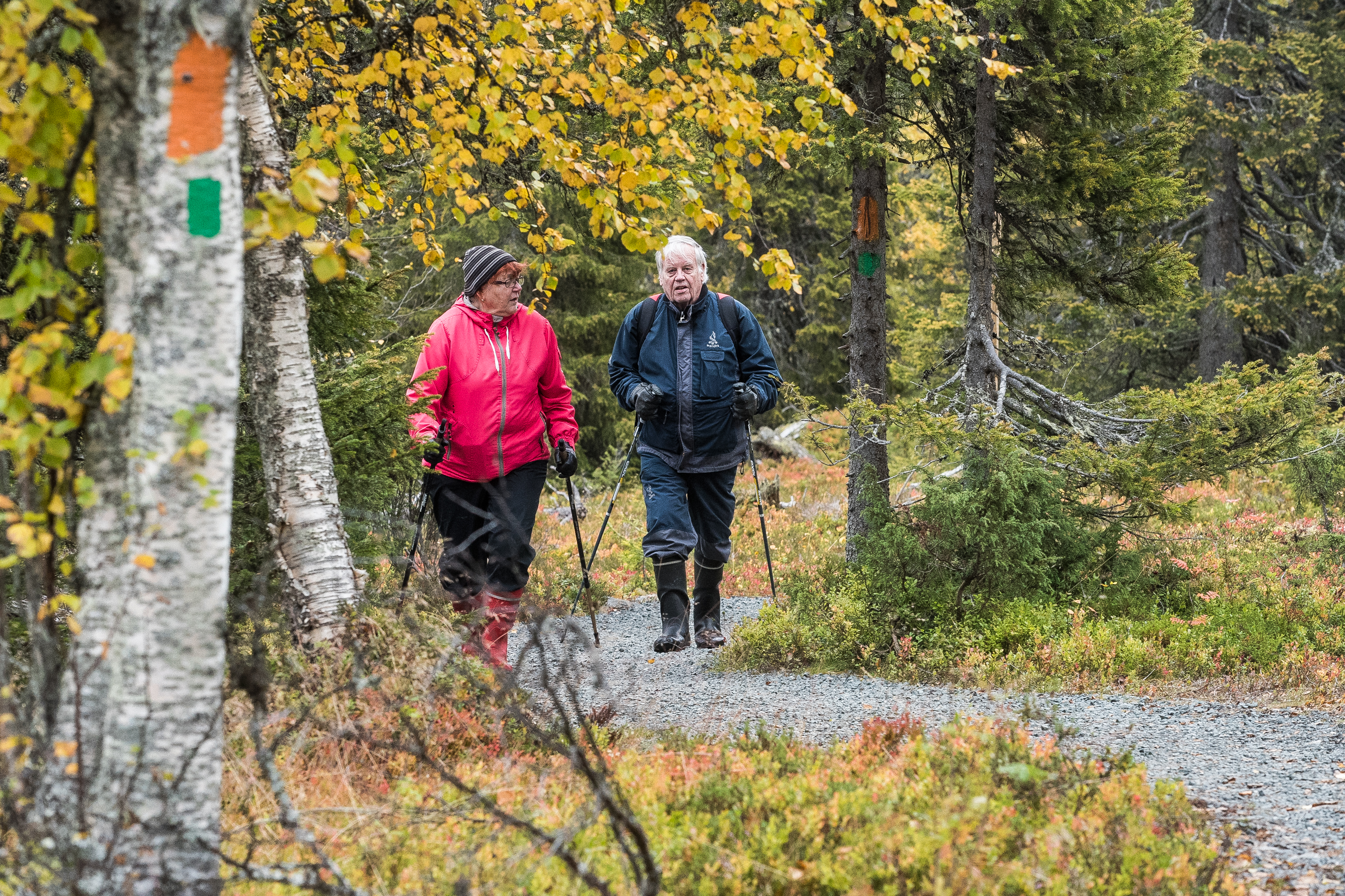 Antti ja Kirsti Sirén olivat käymässä Riisitunturilla ensimmäistä kertaa. Eläkeläispariskunta nautti kauniista ruskasta ja upeista maisemista.