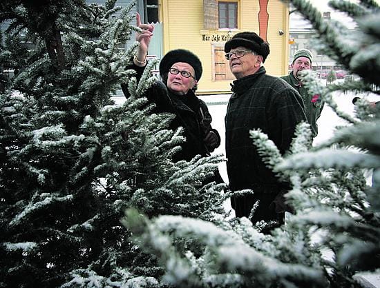 Aili ja Viljo Castrén katselivat maanantaina torilla mustakuusia.