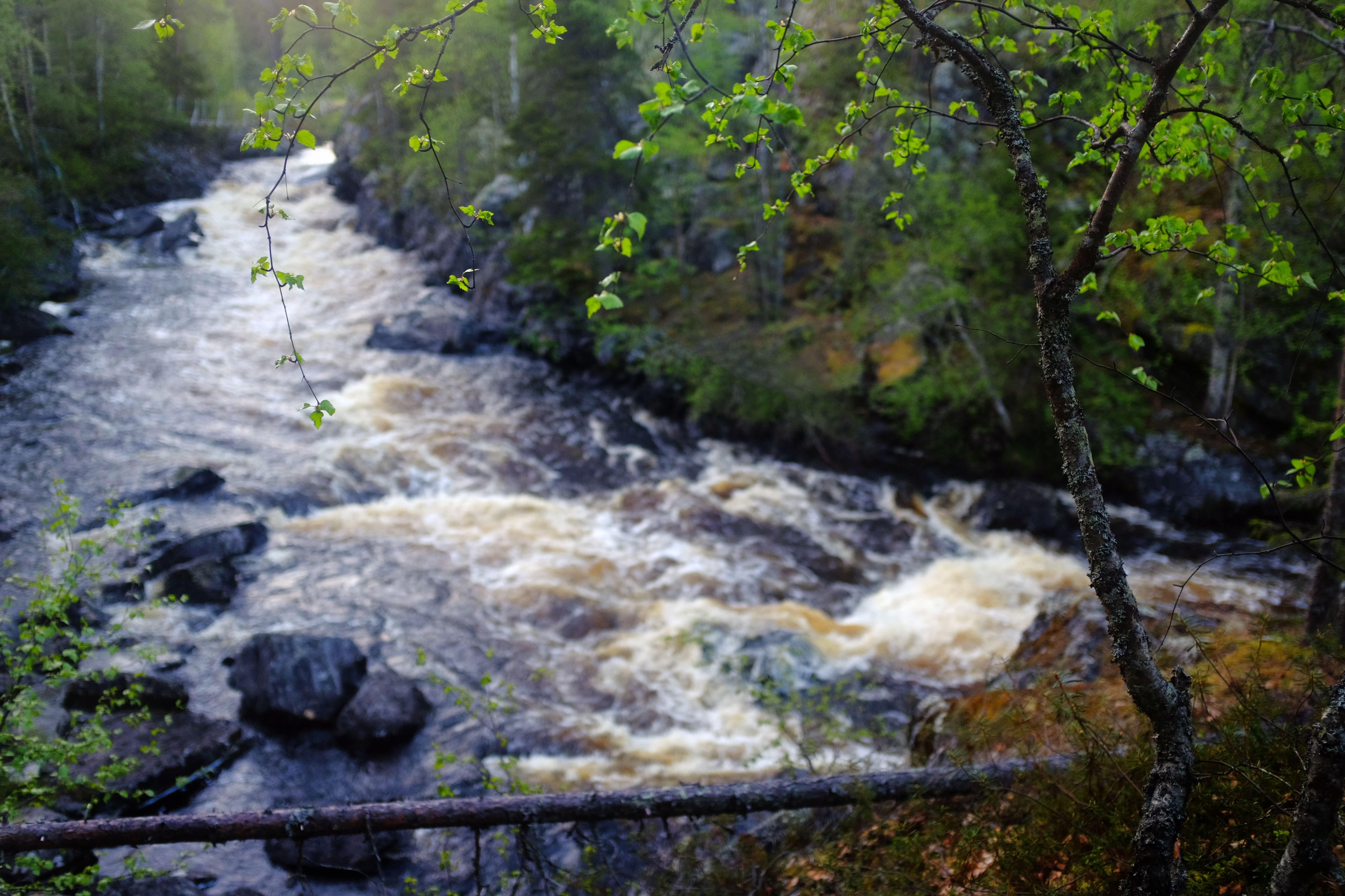 Taivalköngäs.
