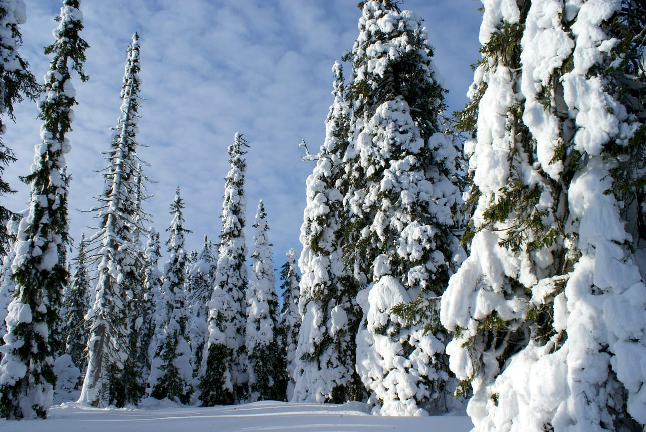 Syötteen kansallispuiston maisemissa on metsästyskieltoja.