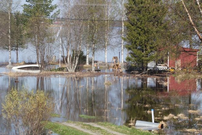Tornionjoki tulvi tiistaina mökkien pihoille muun muassa Kukkolankoskella. KUVA: Sari Pelttari-Heikka