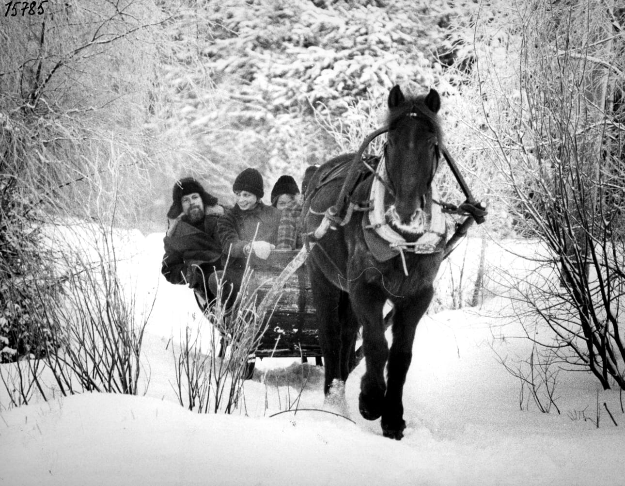 Joulun aikaa Oulussa vuonna 1975. Saaran tallilla järjestettiin tapaninajelut vanhaan tyyliin.