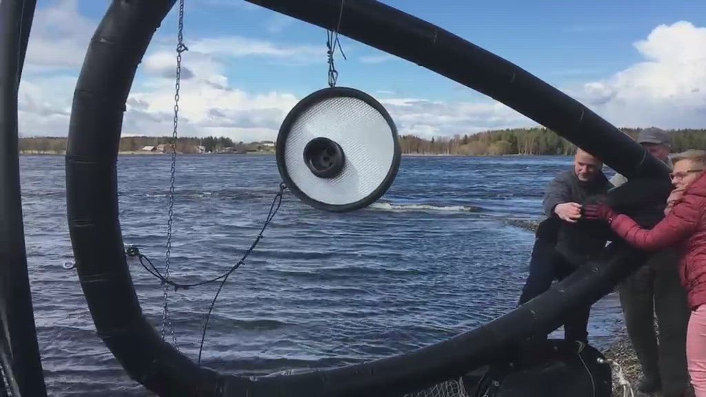 Iso Siika laskee väylään