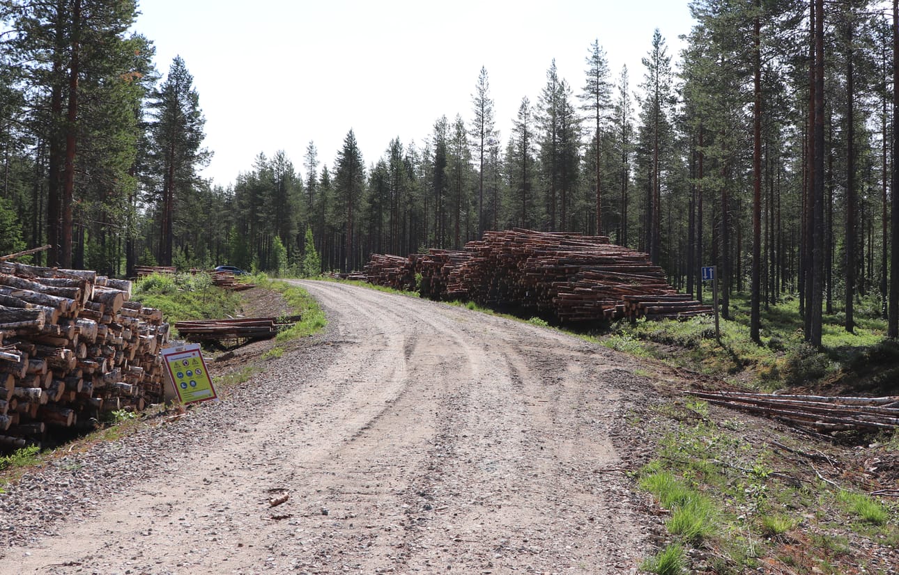 Metsäteillä puupinojen tai levikkeiden kohdalle ei saisi pysäköidä autoa.