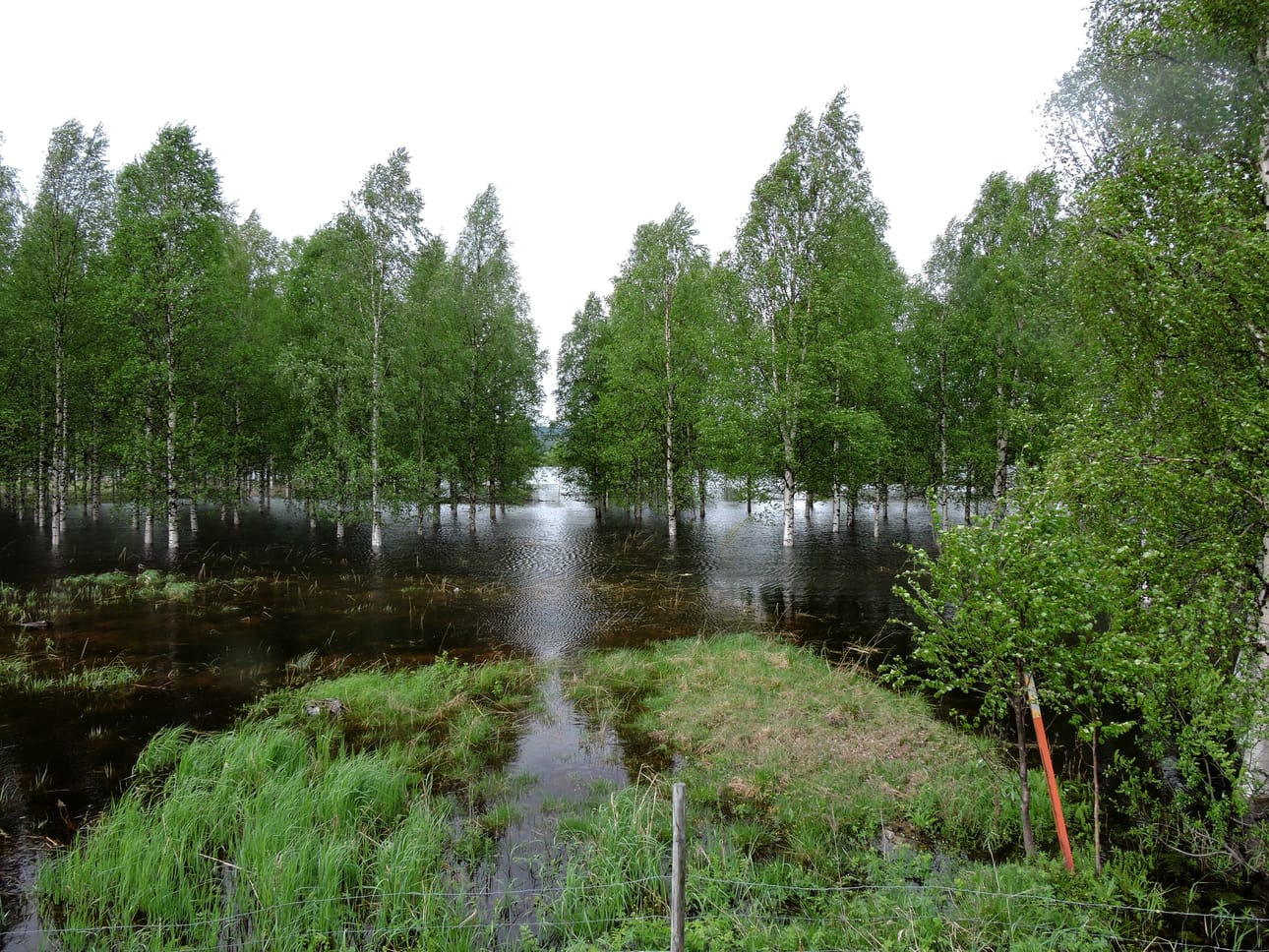 Väylän vesi nousee Torniossa.
