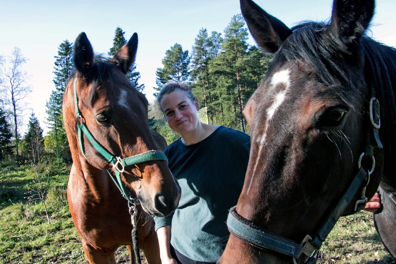 Hevoset Joe ja Rosalie ovat Ina Holthausille rakkaita. Samassa aitauksessa käyskentele myös kolmas hevonen mieltä Estee sekä poni Gipsy. Saksassa on tarjolla hyvin niukasti peltoa hevosten pitoon ja väljään asumiseen, ja sikäli Suomen maaseutu tarjoaa loistavia mahdollisuuksia sellaista elämää haluaville.