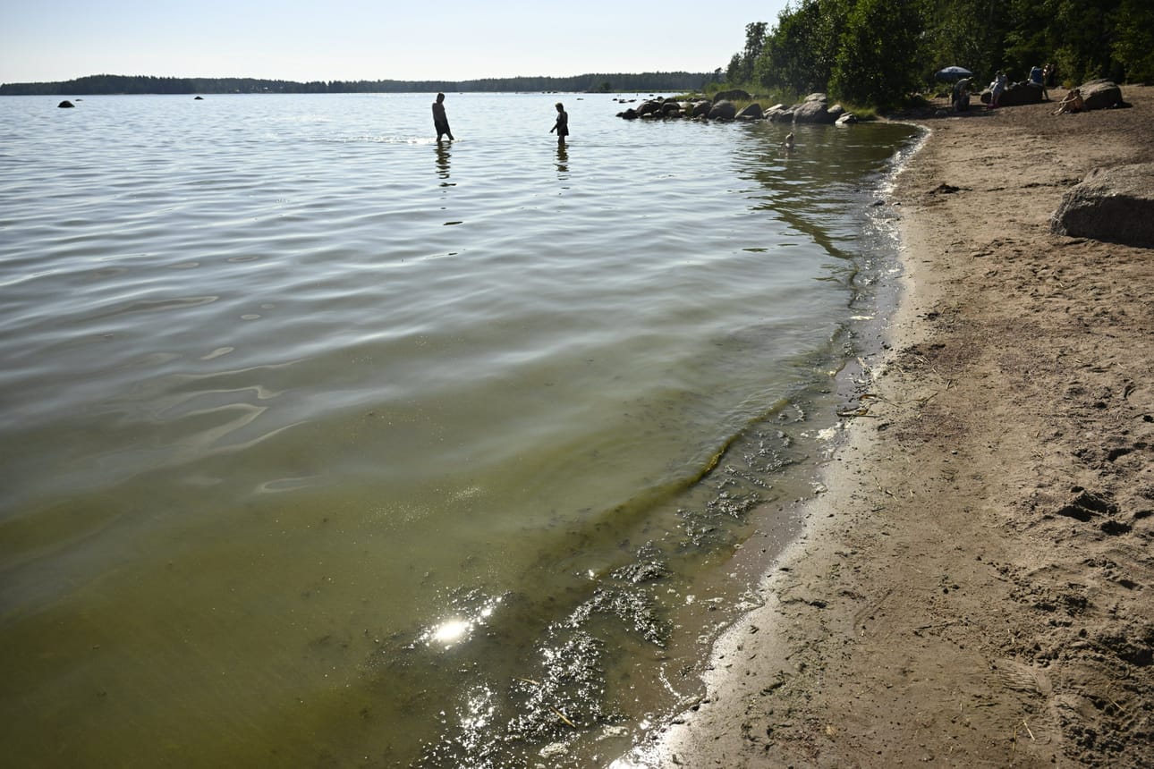 Meriveden lämpeneminen lisää Vibrio-bakteerien määrää. Lehtikuva / Roni Rekomaa