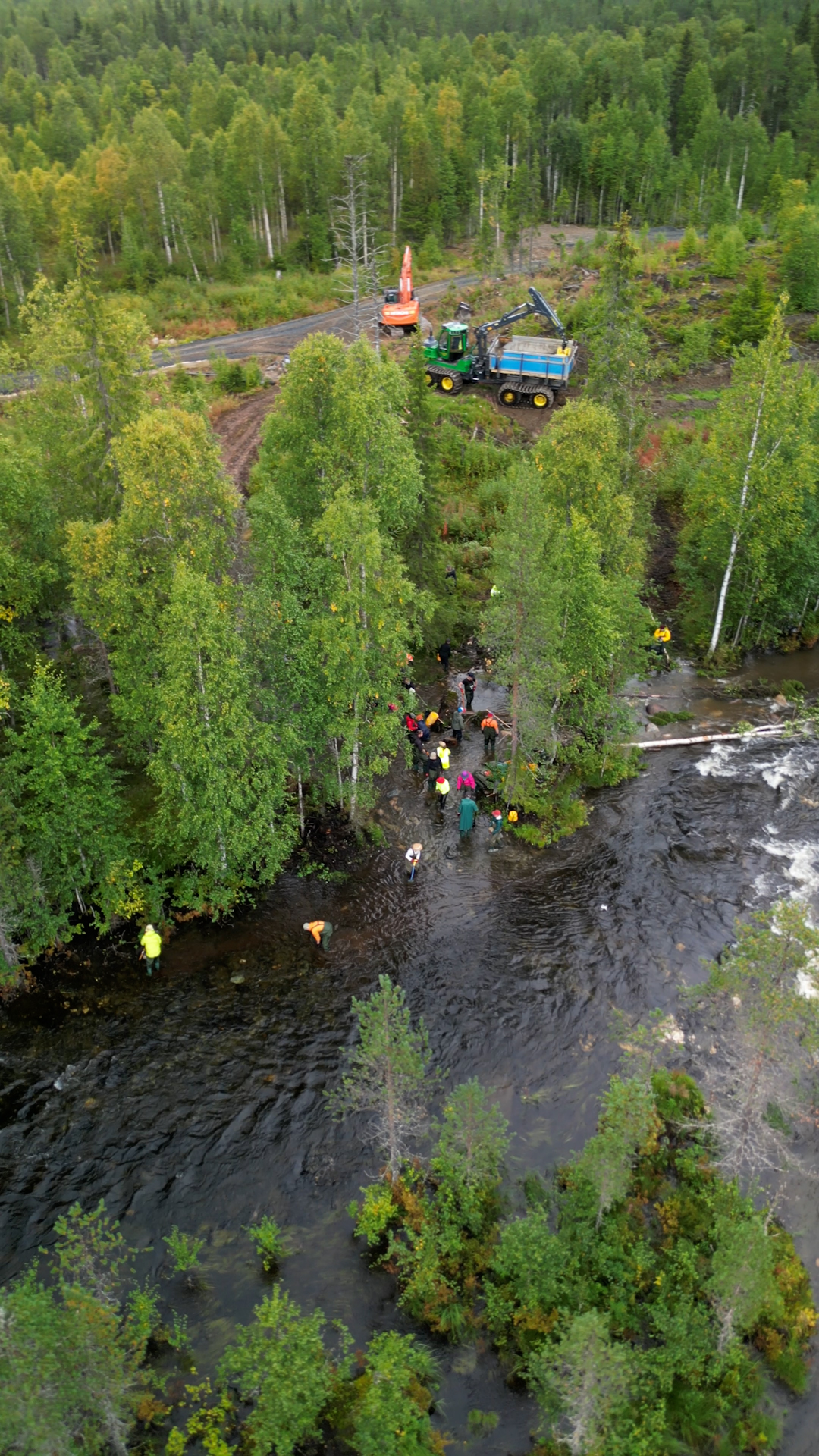 Piilijokea talkoillaan kuntoon WWF:n ennallistamisleirillä Kuusamossa