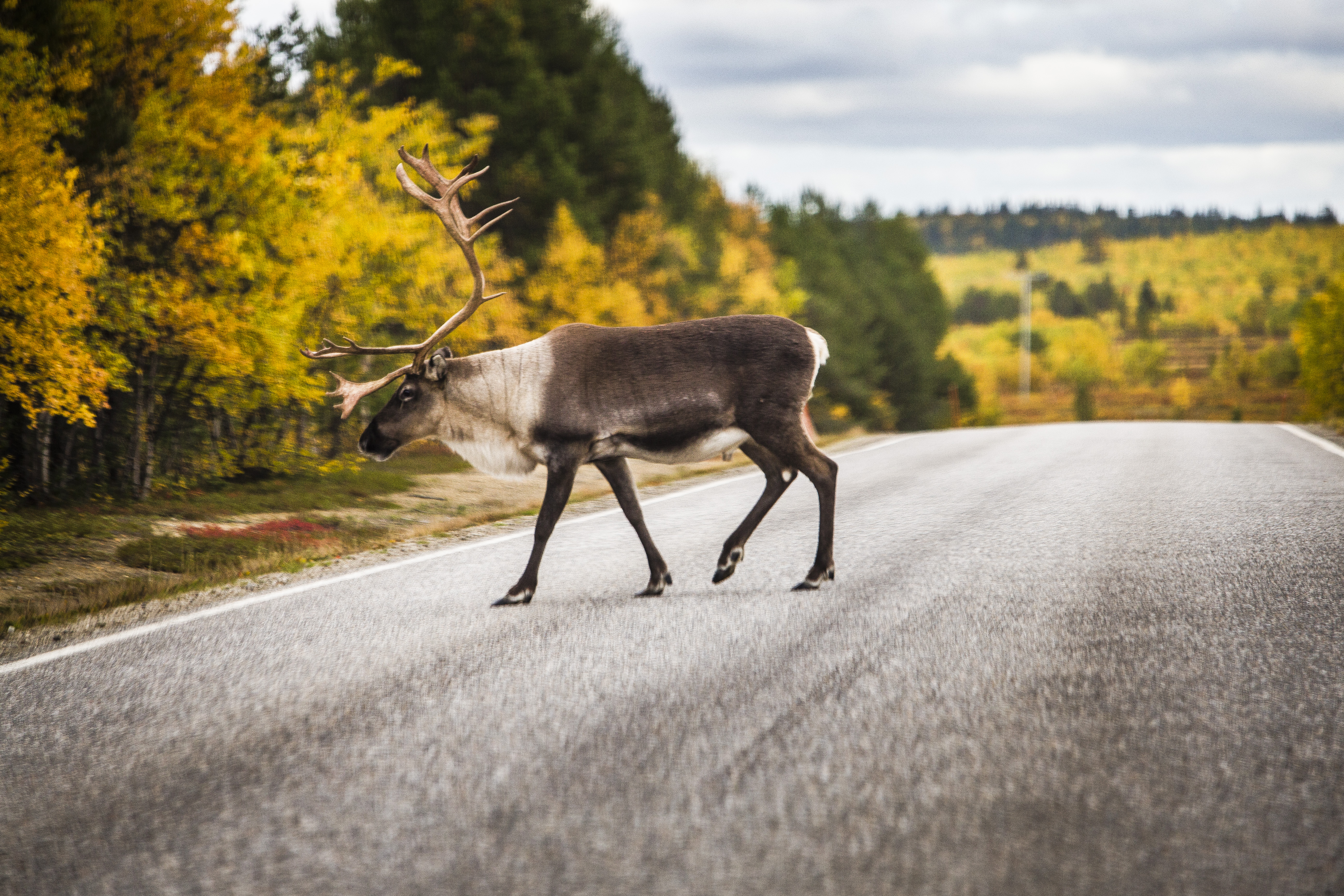 Porotalous kaipaa päivitystä tähän päivään