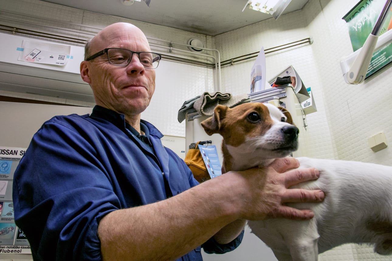 Niin tuotantoeläimistä kuin lemmikeistäkin tulee omistajilleen aina rakkaita ja tunteet ovat joskus pelissä hoitoja pohdittaessa. Arto Kangasniemi pyrkii aina pitämään asiat asioina ja tunteet kurissa.