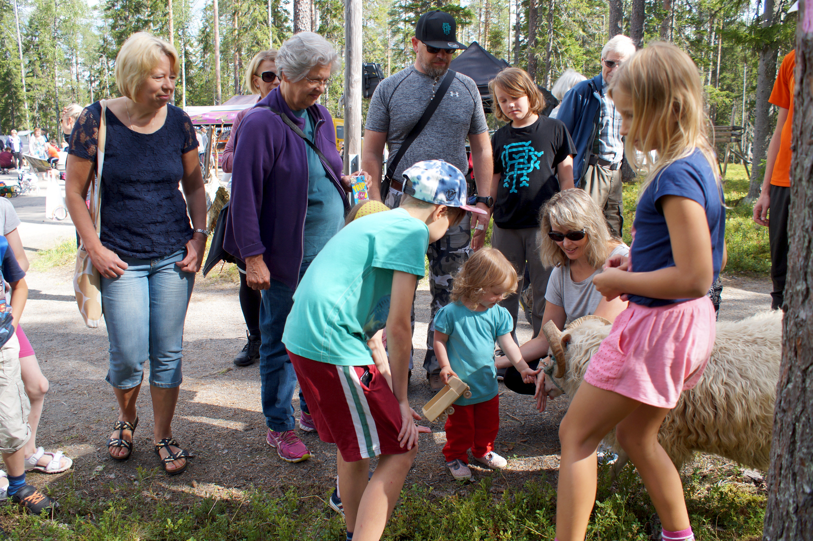 Ahvenanmaanlampaan pässi vankkoine sarvineen kiinnosti Erämaan markkinoilla siinä missä muukin katseltava.