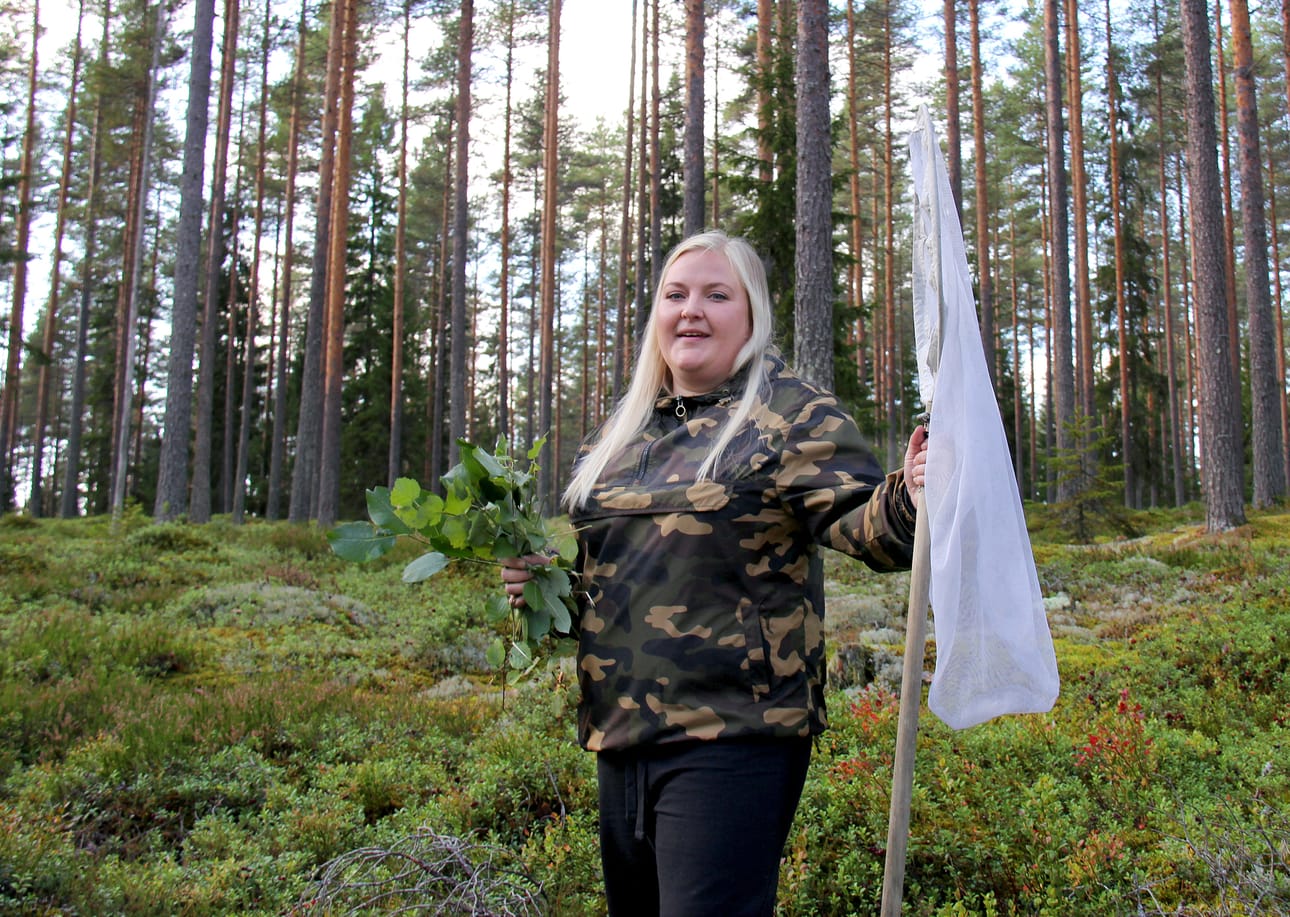 Laura Rostedt kannustaa kurkkimaan syysillan hämärryttyä pihalla kasvavia syysleimuja, sattuisiko niissä ruokailemaan kiertokiitäjä. Arkistokuva: Mia Kärkkäinen