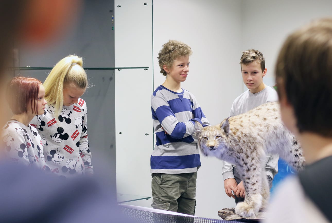 Kuulammen koulun oppilaiden puolesta ilveksen vastaanottivat Venla Käpynen (vasemmalla), Petra Nurro, Antton Kokkonen ja Lasse Kinnunen.