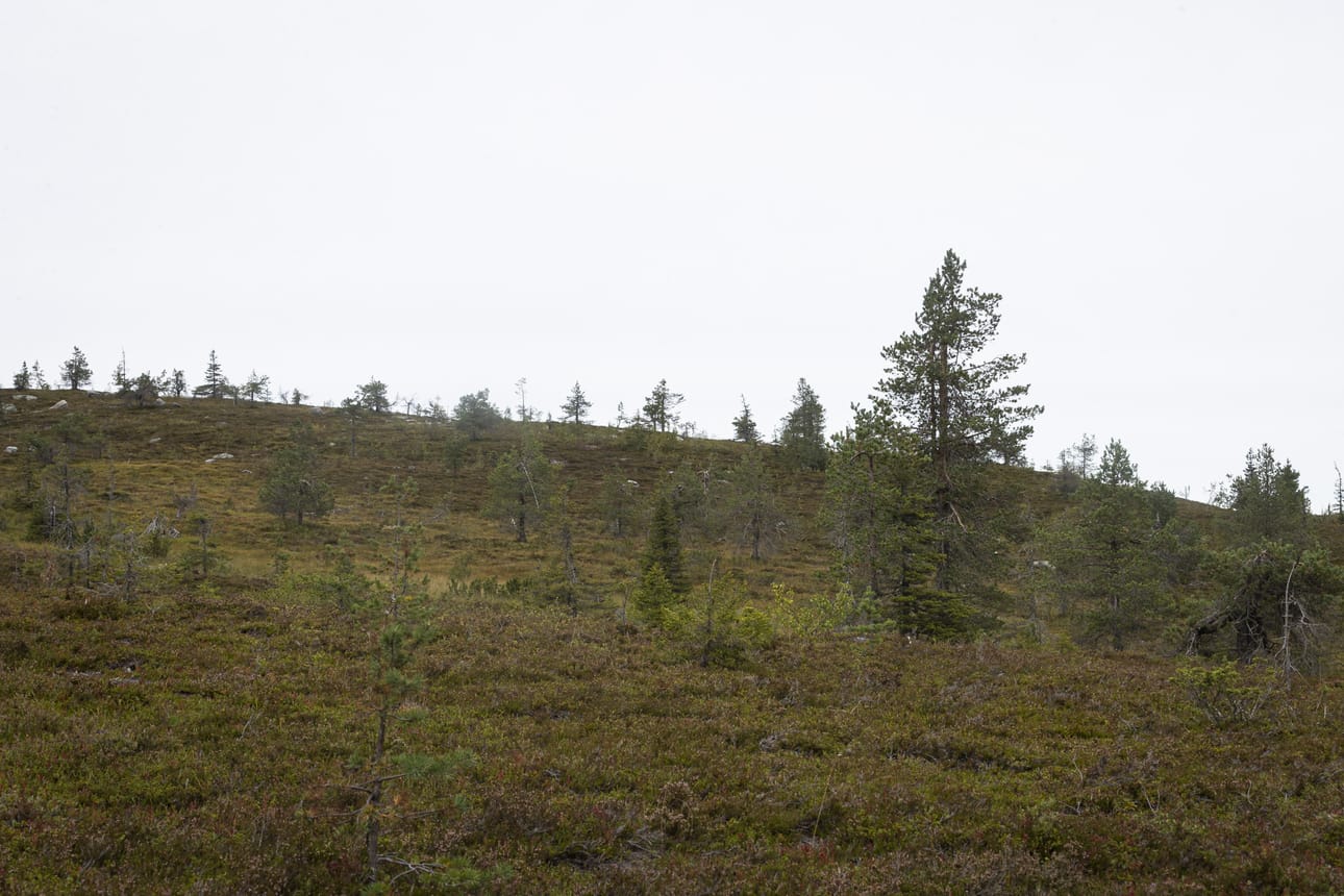 Syksyä kohti, eikä ollenkaan hassumpaa, kun osaa suhtautua asiaan.