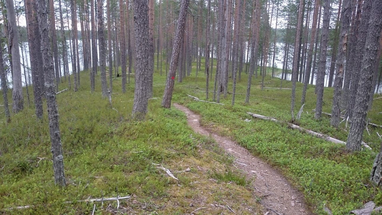 Miehet olivat pitäneet verkkoja Hossan Ala-Valkeisella.