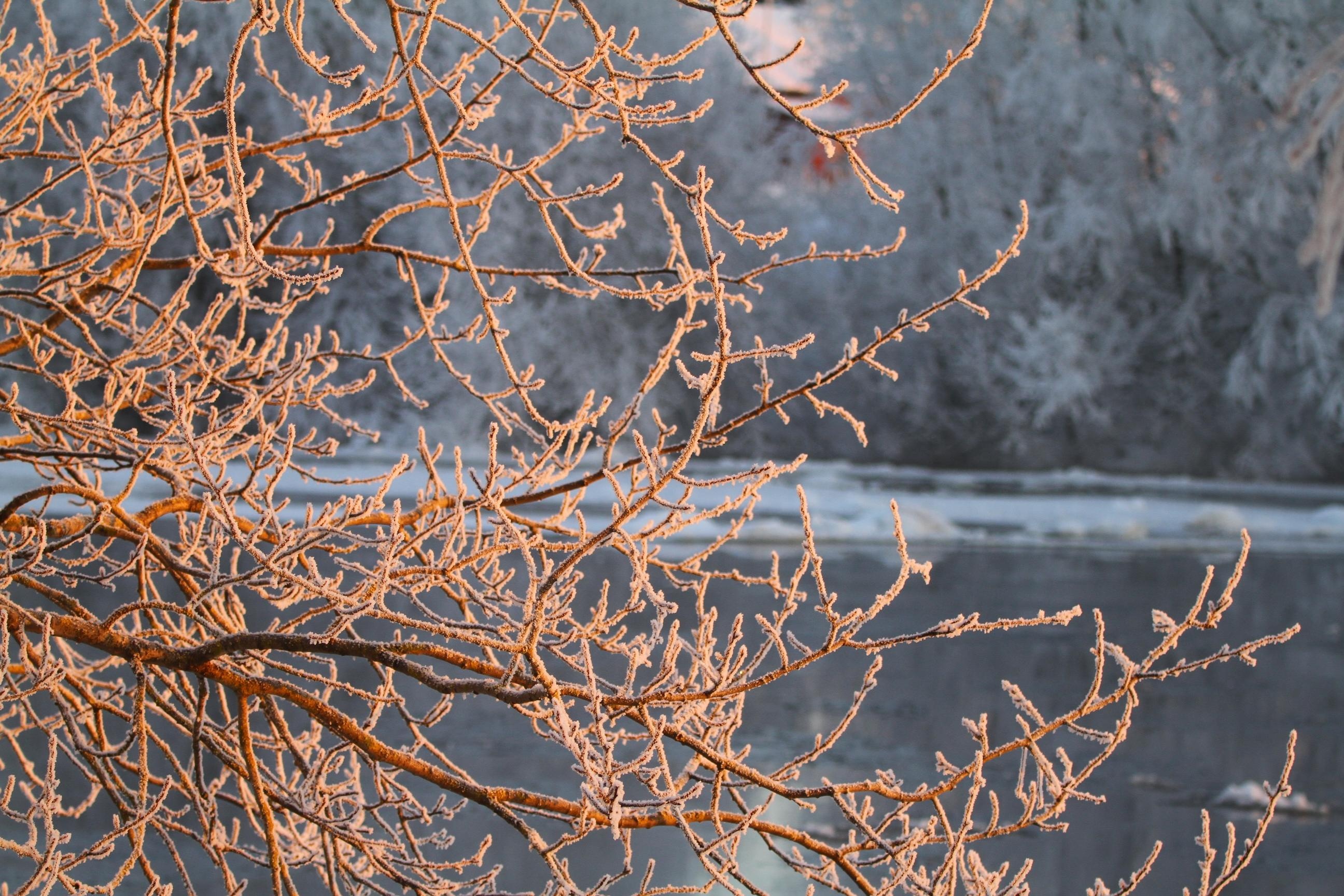 Tammikuun 2026 lukijakuvat