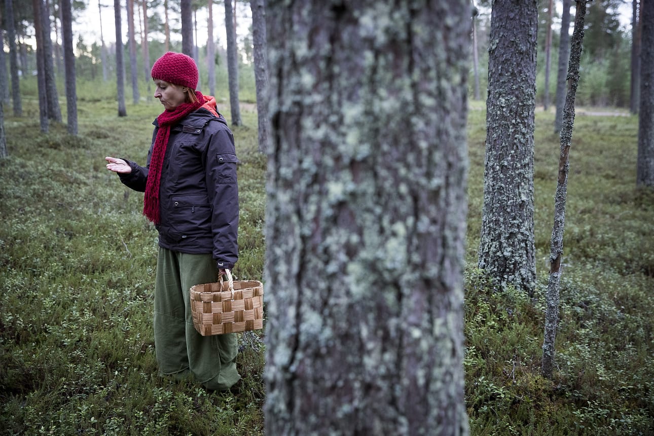 Sieniatlaksen ensimmäinen vuosi oli menestys; sieniharrastaja Annikka Kujala